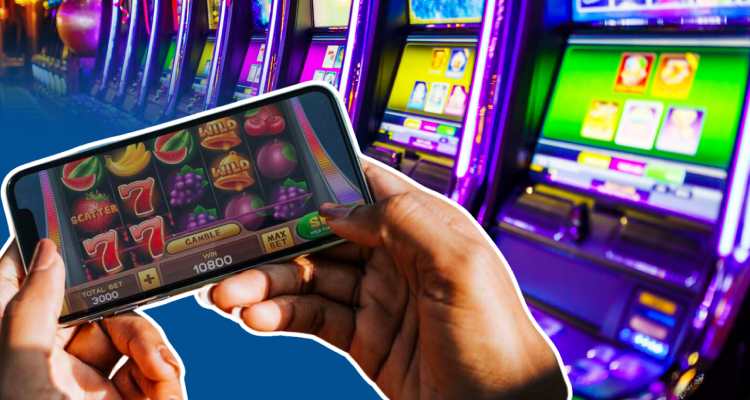 cá cược slot